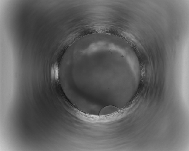 X0000096490046200801241514