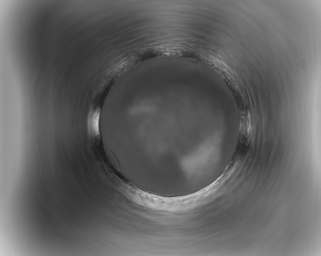 X0000096490047200801241514