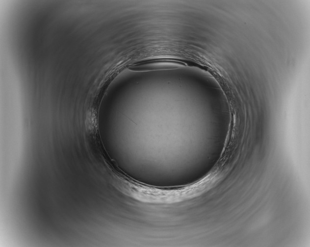 X0000096490048200801241514