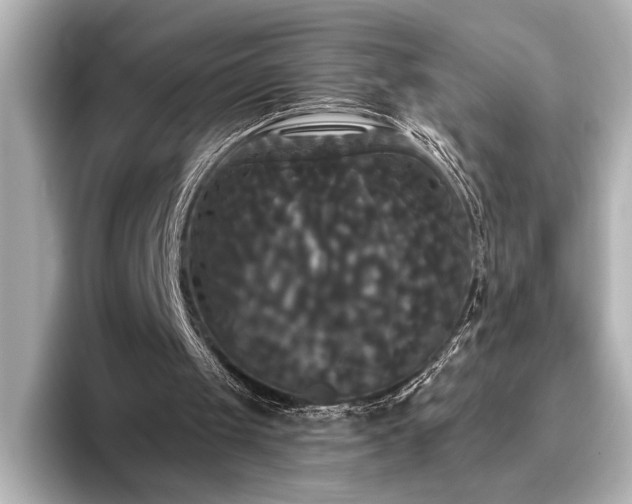 X0000096490049200801241513