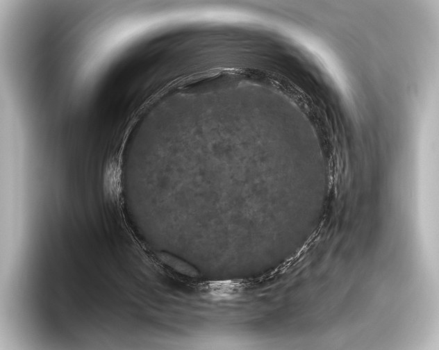 X0000096490050200801241513