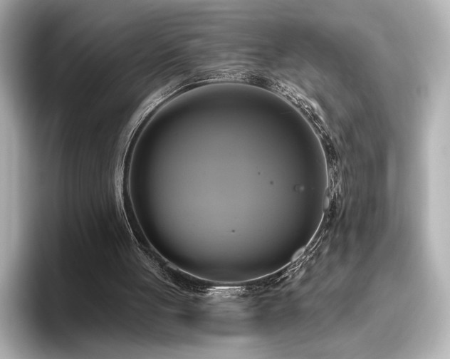 X0000096490051200801241513