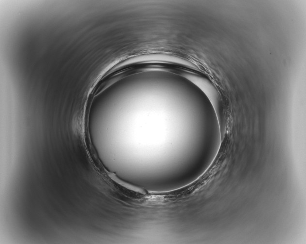 X0000096490052200801241513