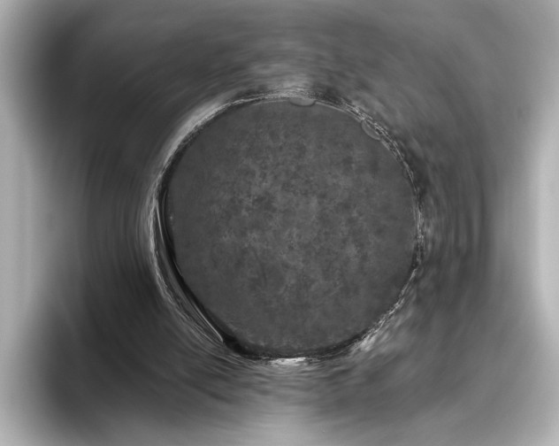 X0000096490054200801241513