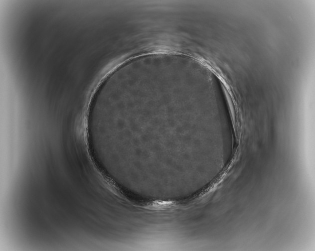 X0000096490055200801241513