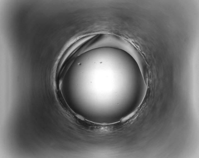 X0000096490056200801241513