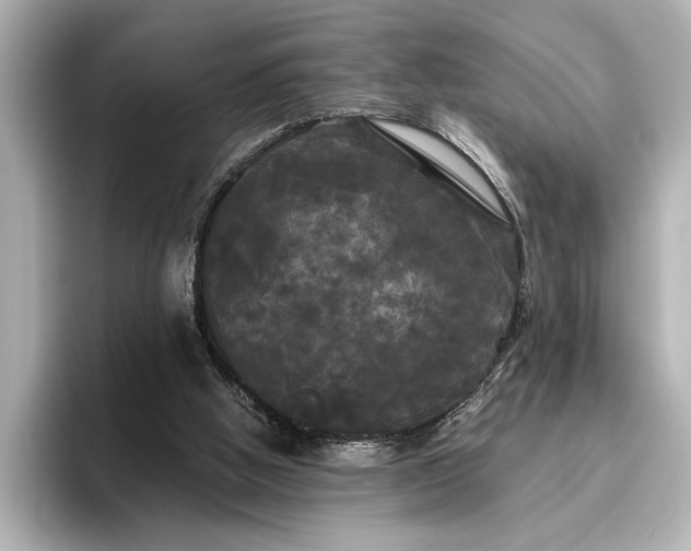 X0000096490058200801241513