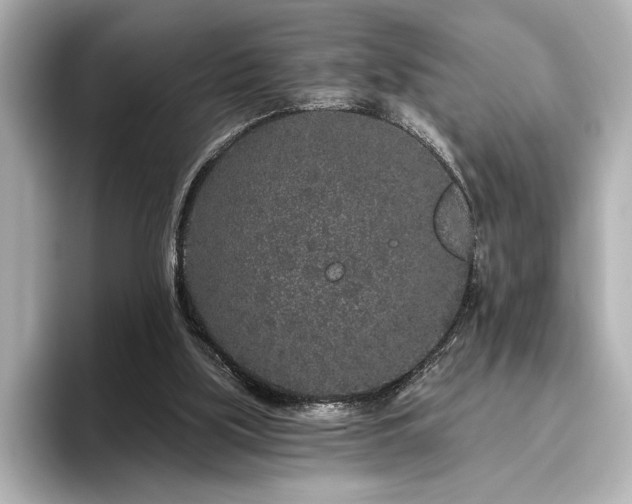 X0000096490059200801241513