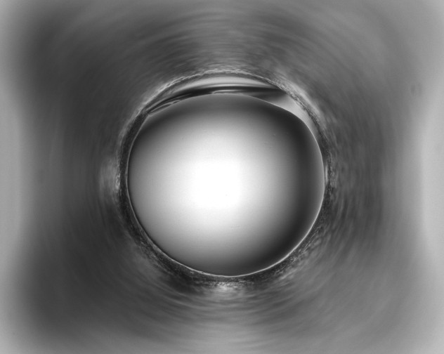 X0000096490060200801241513