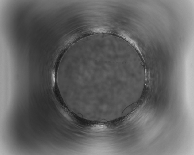 X0000096490061200801241513