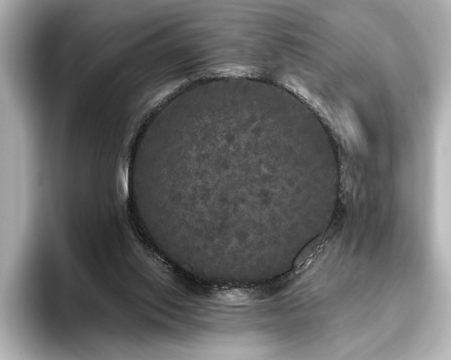 X0000096490062200801241513