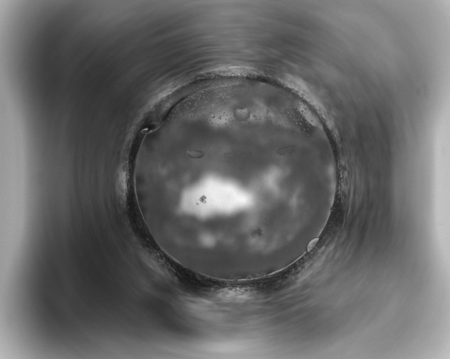 X0000096490063200801241513