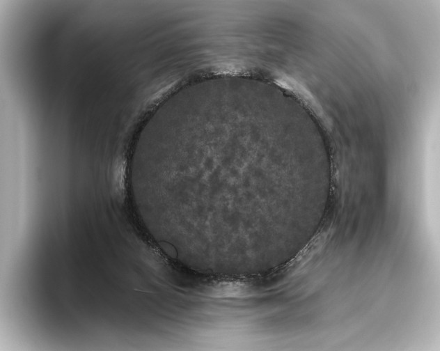 X0000096490066200801241513