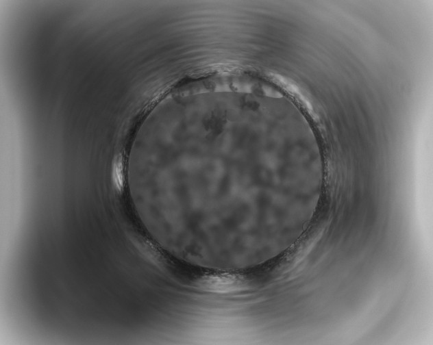 X0000096490069200801241513