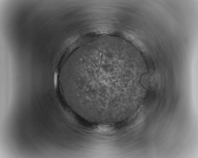 X0000096490070200801241513