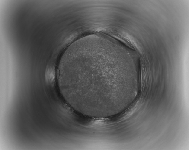 X0000096490072200801241513