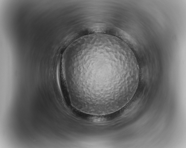 X0000096490073200801241513