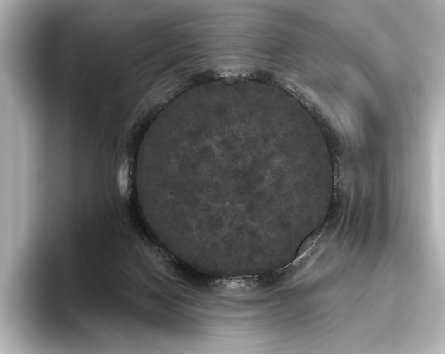 X0000096490074200801241513