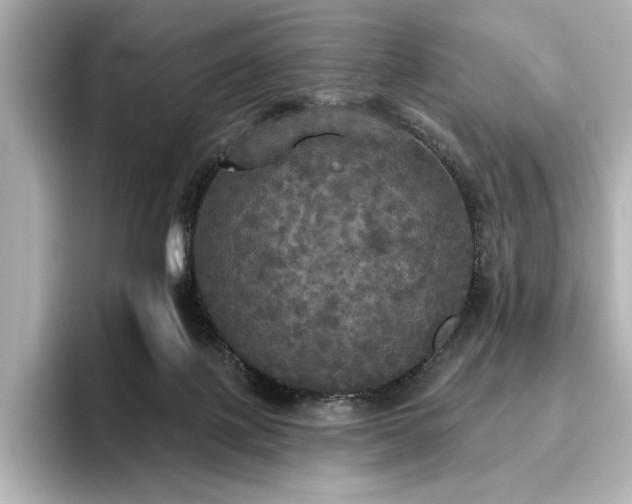 X0000096490075200801241513