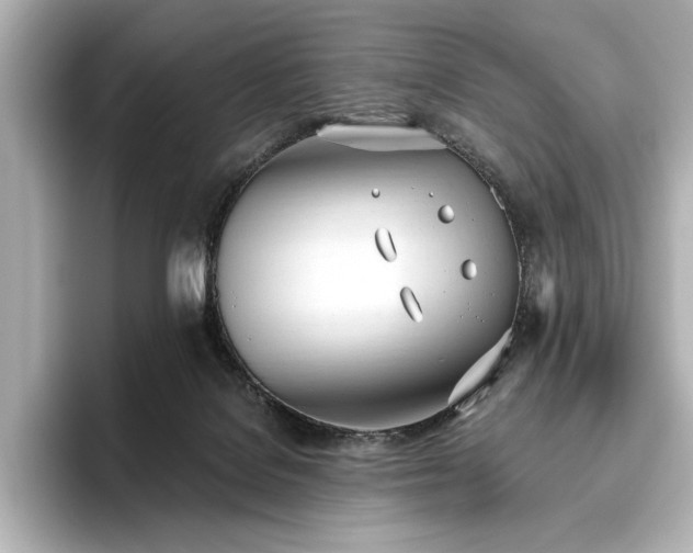 X0000096490076200801241513