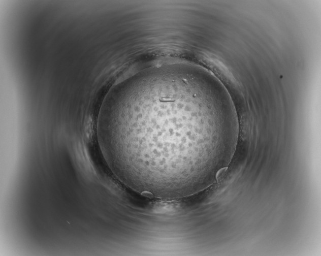 X0000096490077200801241513