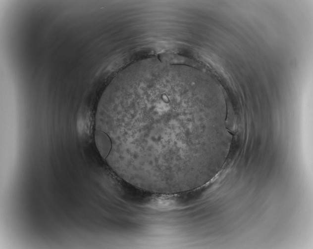 X0000096490078200801241513