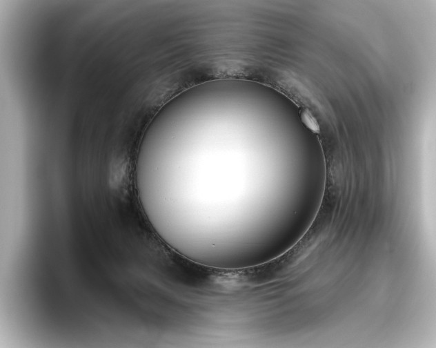 X0000096490079200801241513