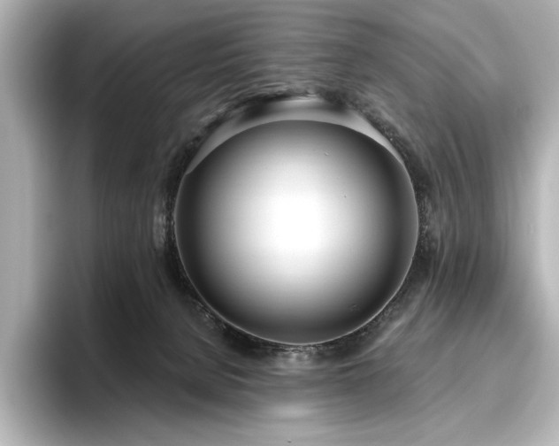 X0000096490080200801241513