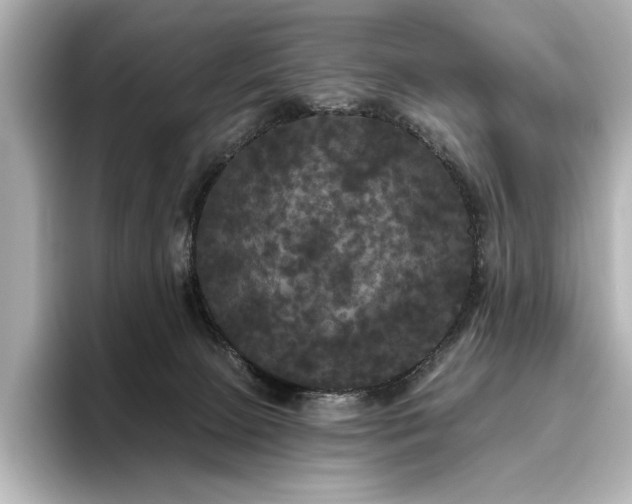 X0000096490081200801241513