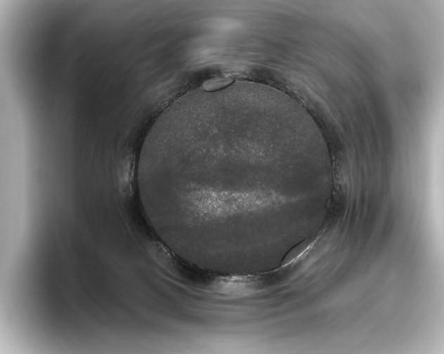 X0000096490082200801241513