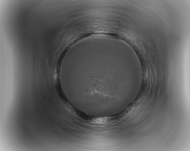 X0000096490084200801241513