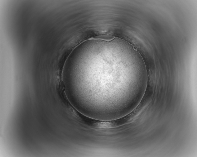 X0000096490085200801241513