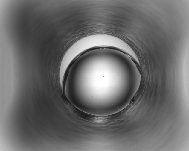 X0000096490088200801241513