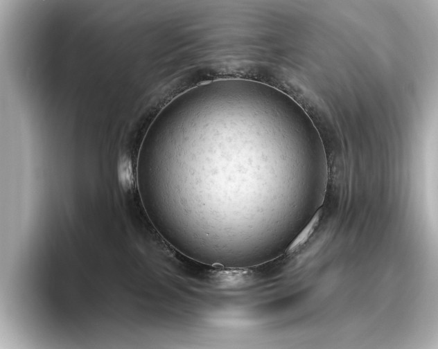 X0000096490089200801241513