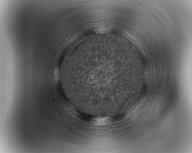 X0000096490093200801241514