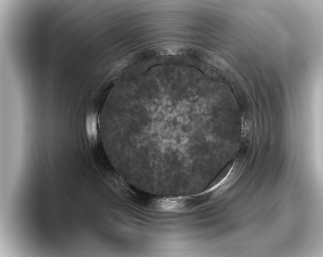 X0000096490094200801241514