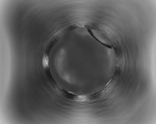 X0000096490095200801241514