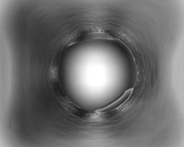 X0000096490096200801241514