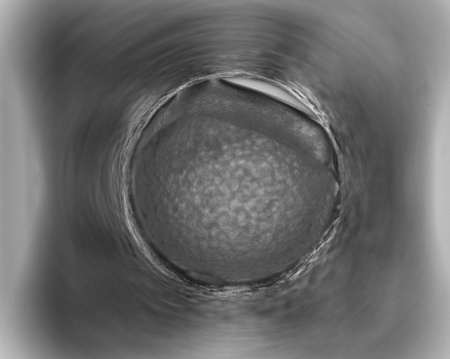 X0000096490097200801241513