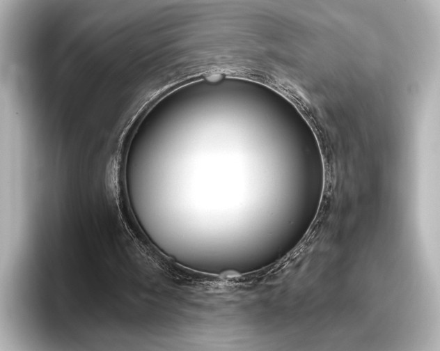 X0000096490098200801241513