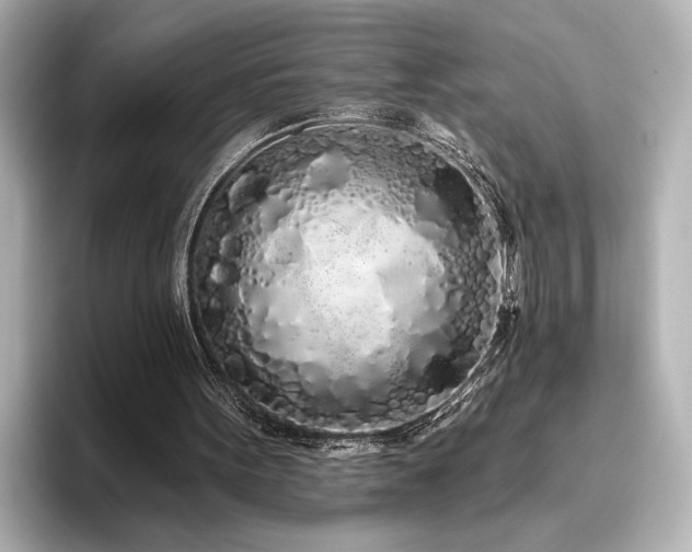 X0000096490099200801241513