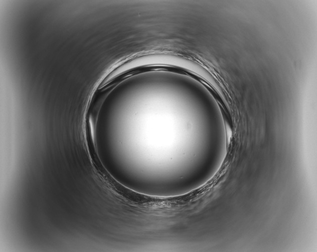 X0000096490100200801241513