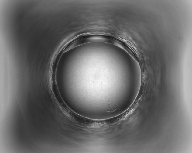 X0000096490101200801241513