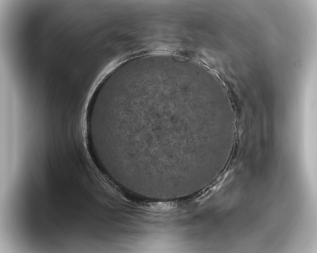 X0000096490102200801241513