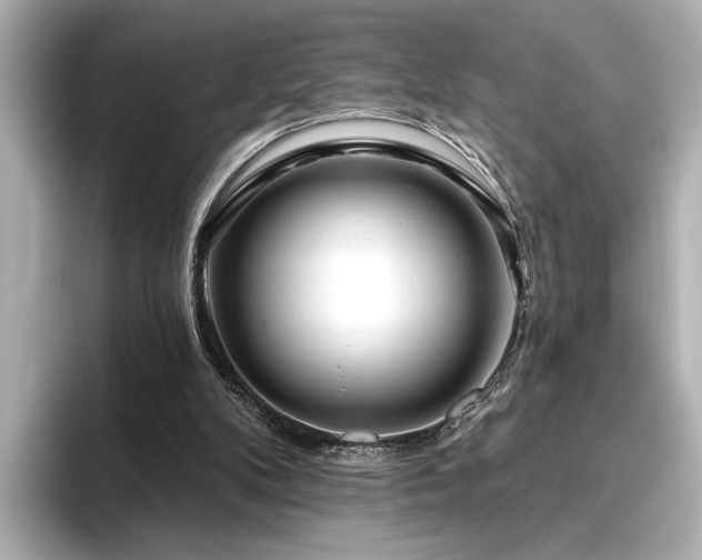 X0000096490104200801241513