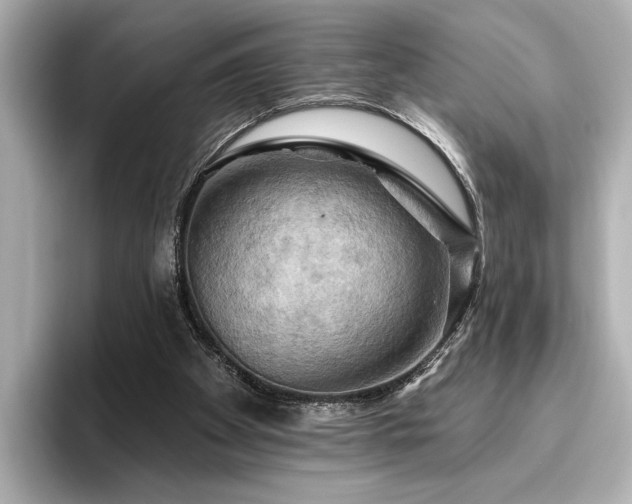 X0000096490105200801241513