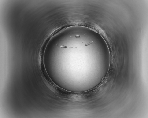 X0000096490106200801241513