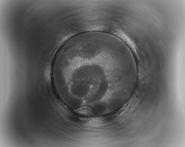 X0000096490107200801241513