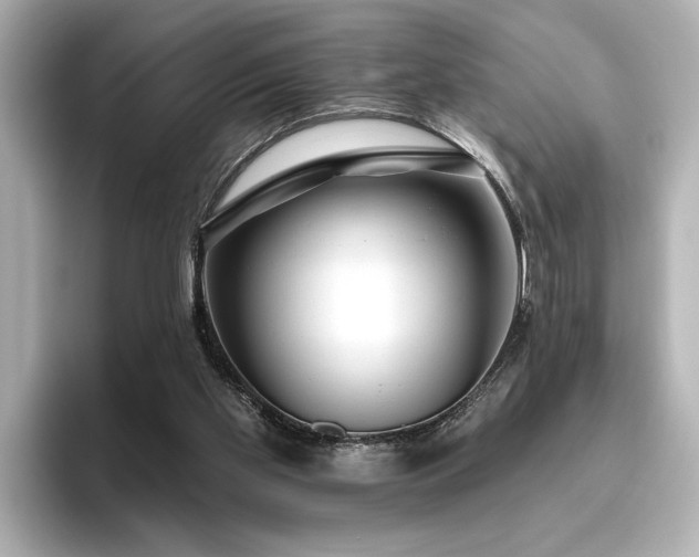 X0000096490109200801241513