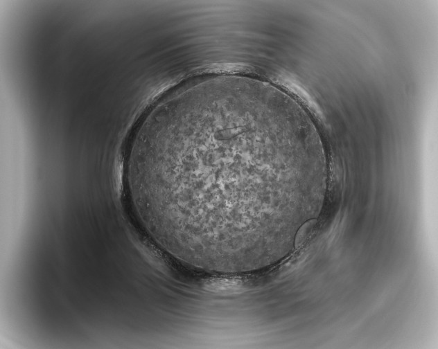 X0000096490110200801241513